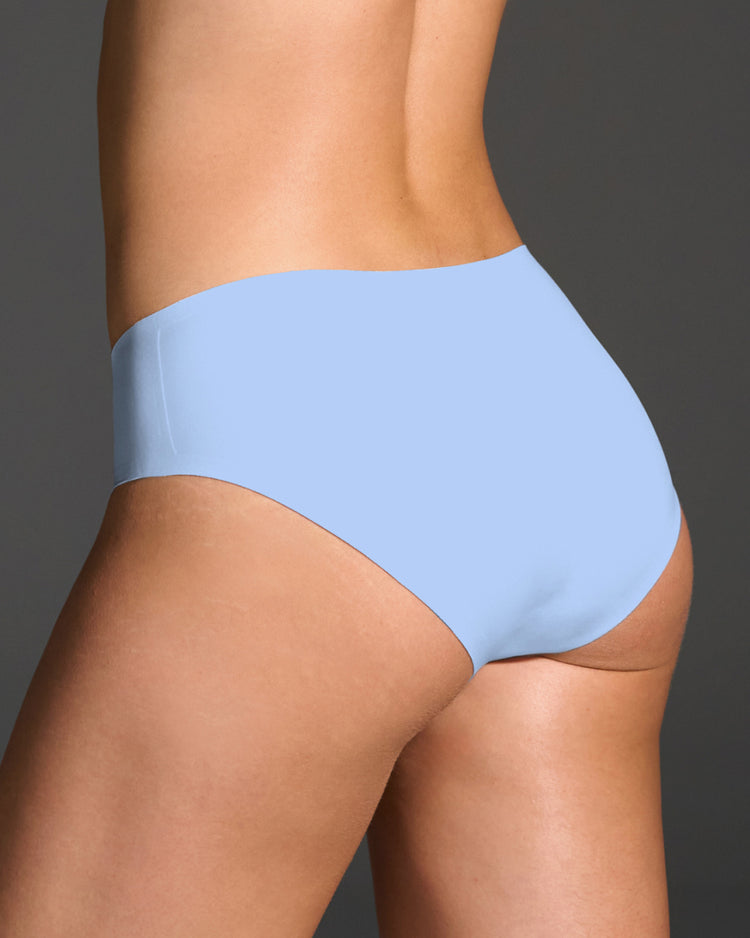 Hydrangea Brief