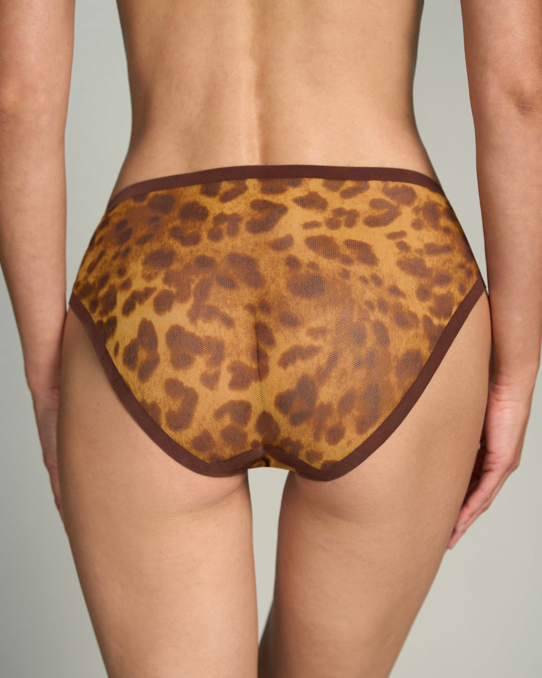 EBY Sheer Brief, Panthera print, on-model on a neutral background