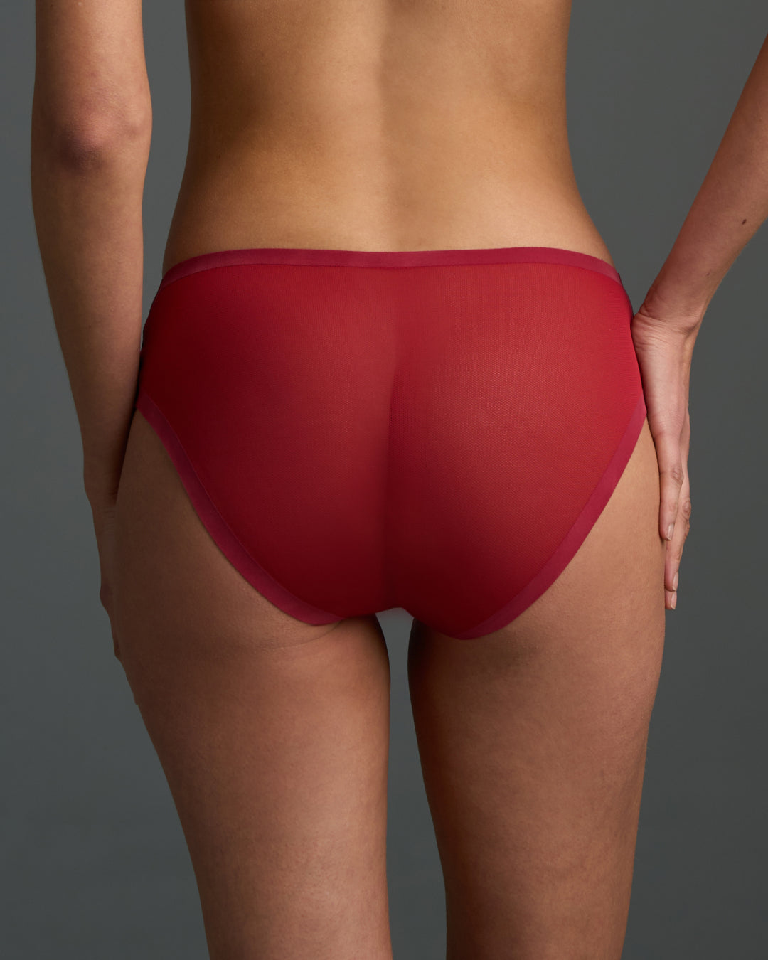 Winery Sheer Brief