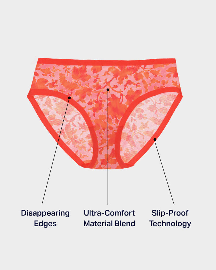 Womens Underwear Low Waist Sheer Mesh Briefs Cute Seamless For