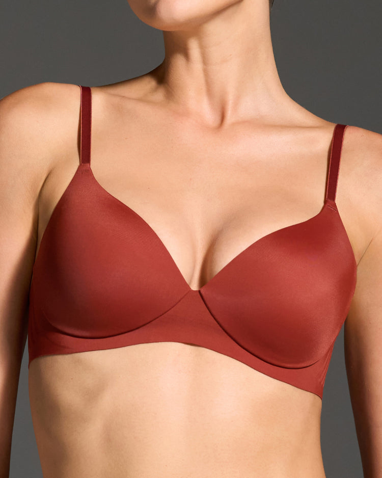 Fired Brick 3D Precision Bra and Brief Set