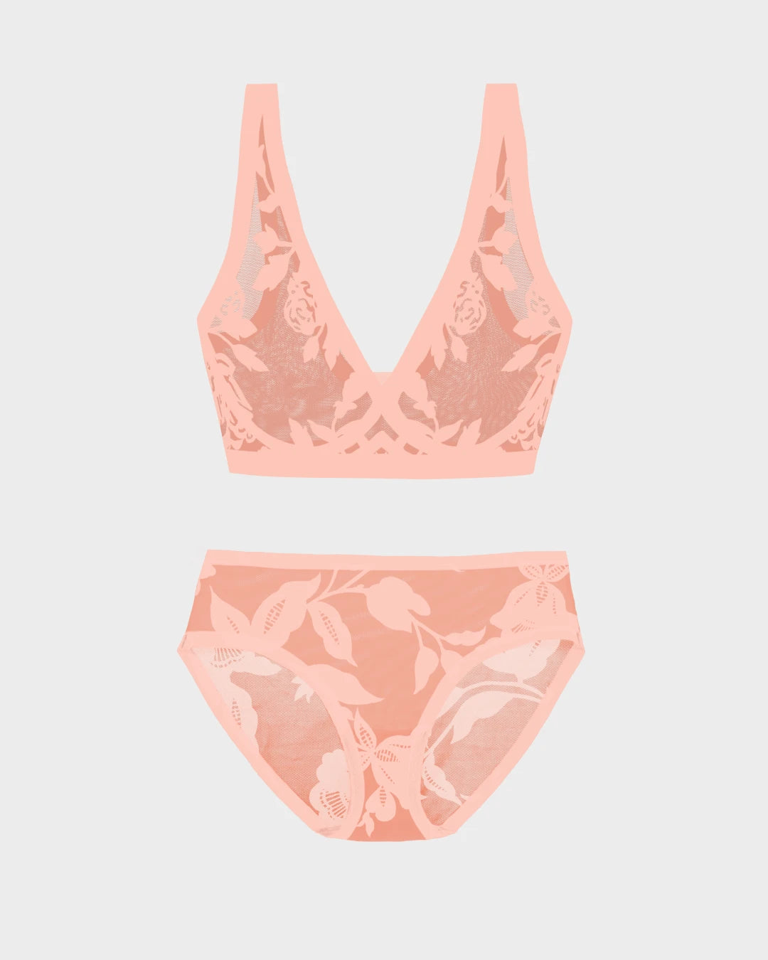 Madam Bisou Sheer Bralette and Brief Set