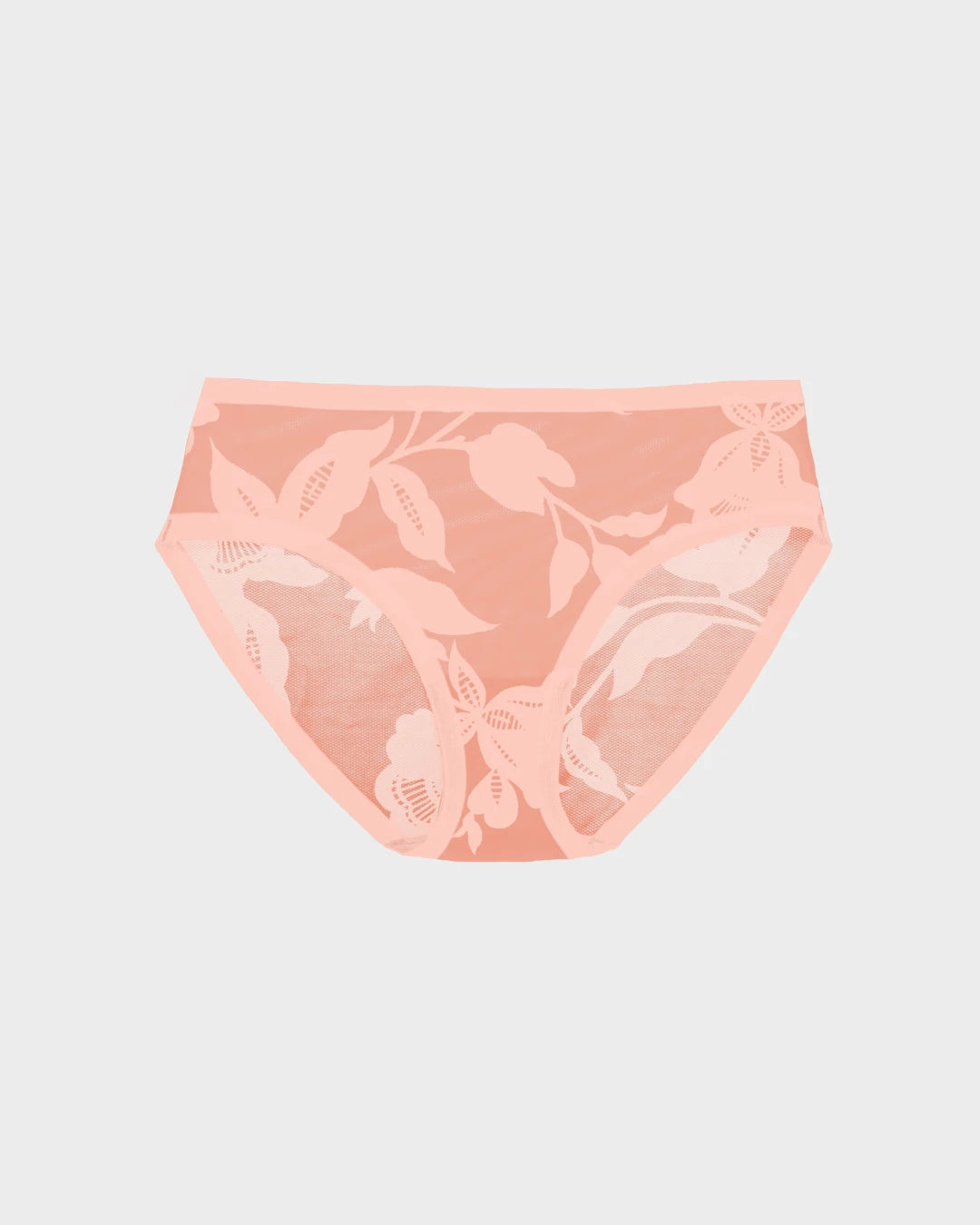 Madam Bisou Sheer Brief