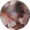 Duskwild