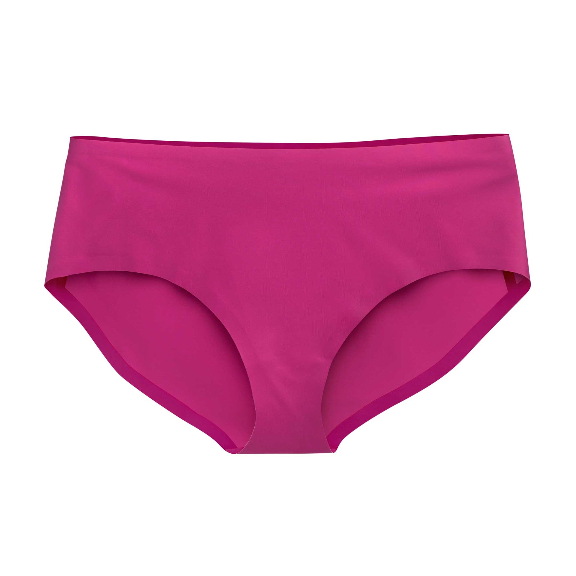 Fuchsia Festival Brief
